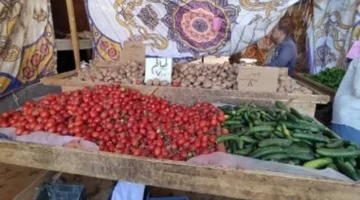 أسعار كيلو الطماطم ترتفع إلى 7.5 جنيه في الوادي الجديد اليوم